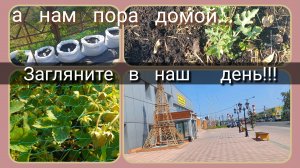 Загляните в наш  день/а нам пора домой...