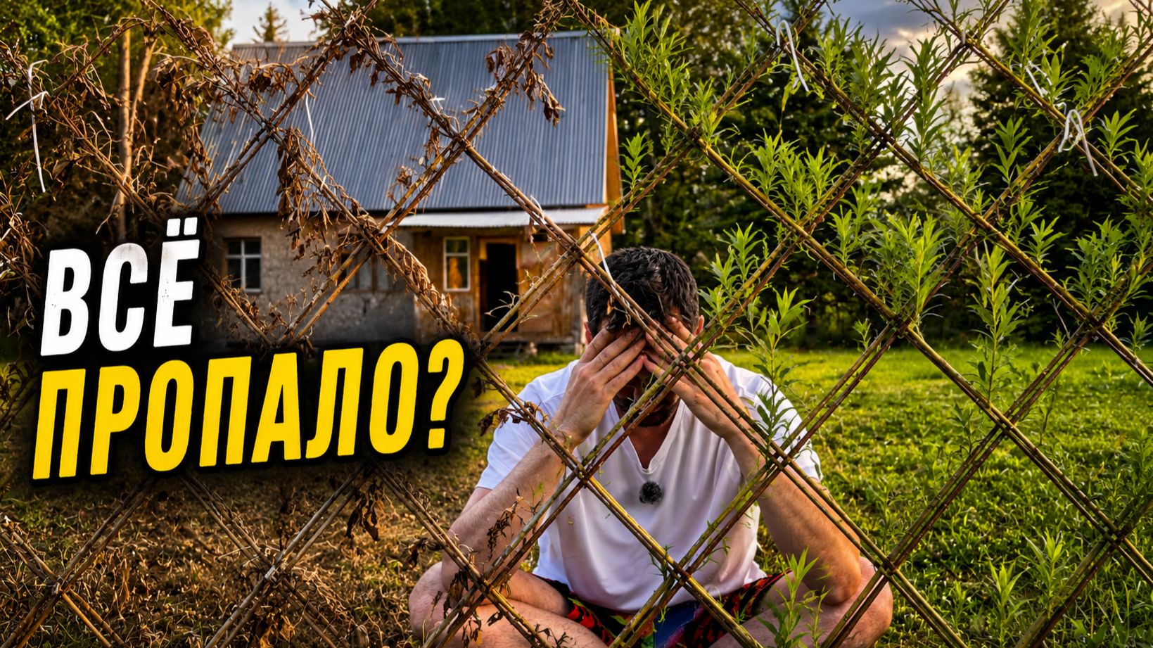НОВЫЕ ПОБЕГИ ИЛИ ВСЁ ПРОПАЛО? Что стало с забором