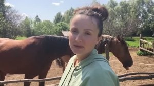 МУЖ УЕХАЛ В ЛЕС. КТО ПОЕДЕТ С НАМИ НА НОВЫЙ УЧАСТОК. СДЕЛАЛИ КРЫШУ. ЖИЗНЬ В ДЕРЕВНЕ 17.06.23