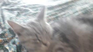 67