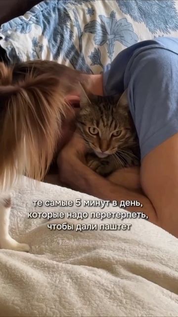На все готов смотреть онлайн