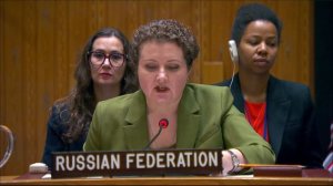 EoV by Anna Evstigneeva after UNSC Vote on Draft Resolution on Crimes against UN Peacekeepers