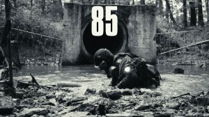 85