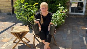Плетистые розы. Правила успешной посадки