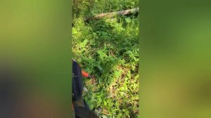 новые находки