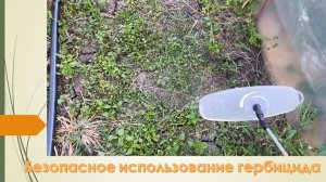 Как не пожечь культурные растения гербицидом