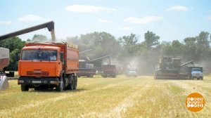 Пшеница: виды на урожай. Доброе утро. Фрагмент выпуска от 23.06.2026