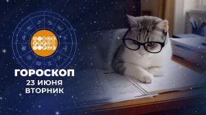 Гороскоп на 23 июня. Доброе утро. Фрагмент выпуска от 23.06.2026