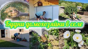 ПОКУПКИ ОЗОН📦ДОМАШНЯЯ РУТИНА🧺ДОЛЖЕН ЛИ ПОМОГАТЬ МУЖ? 🤔
