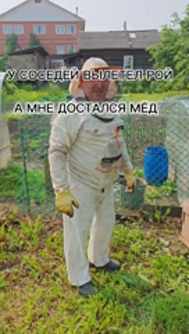 У СОСЕДЕЙ ВЫЛЕТЕЛ РОЙ, А МНЕ ДОСТАЛСЯ МЁД.