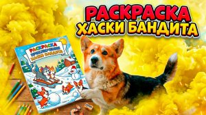 РАСКРАСКА ОТ ХАСКИ БАНДИТА! НОРМ ИЛИ СТРЁМ?