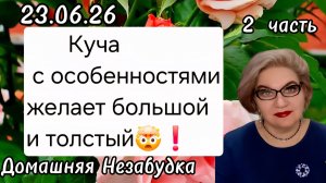 2 часть. Куча с особенностями желает большой и толстый🤯❗️