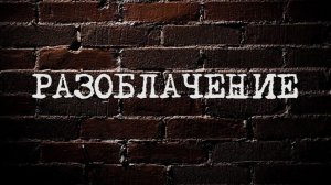 РАЗОБЛАЧЕНИЕ НА ПАНСА И ЗЕ БОУЛСТЕРА
