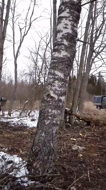 стройка вышки в залужье смотреть онлайн