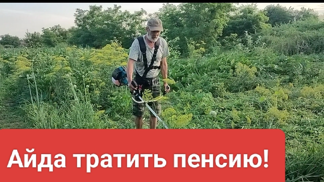 Поехали тратить пенсию. Лес дремучий. Жизнь станичная. смотреть онлайн