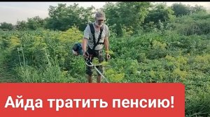 Поехали тратить пенсию. Лес дремучий. Жизнь станичная.