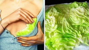 15 СОВРЕМЕННЫХ СОВЕТОВ ПО КРАСОТЕ, КОТОРЫЕ СЛЕДУЕТ ЗНАТЬ