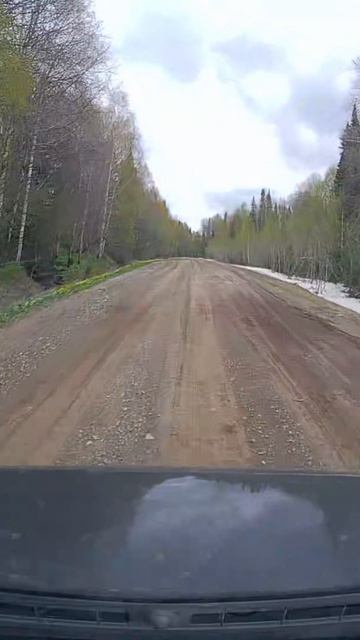 Дорога в лесу