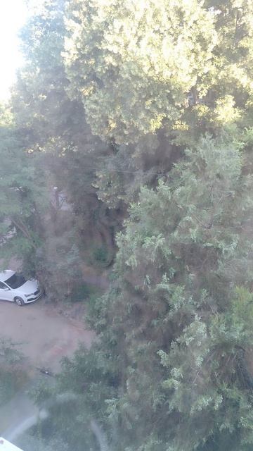 Лето удалось!) смотреть онлайн