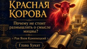 Почему не стоит размышлять о смысле мицвы Пара Адума? Рав Яков Каминецкий. Глава Хукат