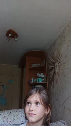 вопросы
