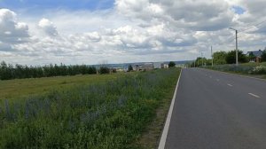 Закрываем вишню в собственном соку. Снимаю клип на выпускной. Заготовки на зиму