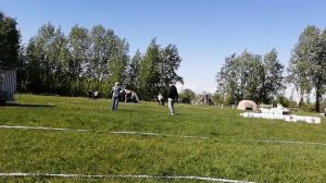 МОЛОДЫЕ КОБЕЛИ / КЧК САНКТ-ПЕТЕРБУРГ 23 мая`26 И.Давыдова Моно немецких овчарок