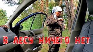 В ЛЕСУ НИЧЕГО НЕТ