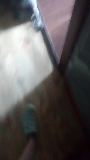 обзор на мои новые вещи