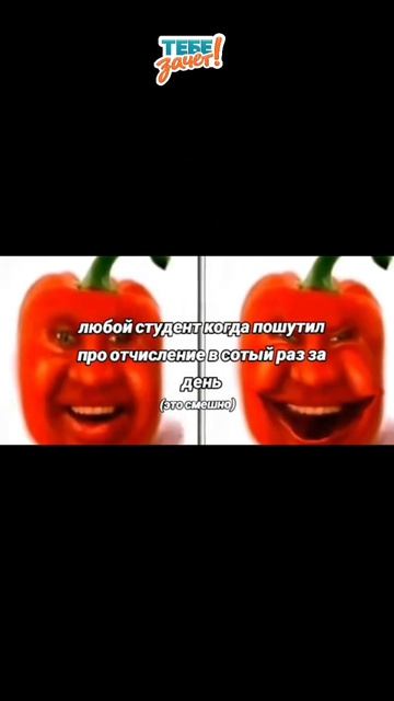 Сессия рядом? «Тебе зачёт!» поможет закрыть учебные долги! Почта: zakaz@tebezachet.ru #рекомендации смотреть онлайн