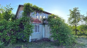 СНТ Светлое, Калининградская область