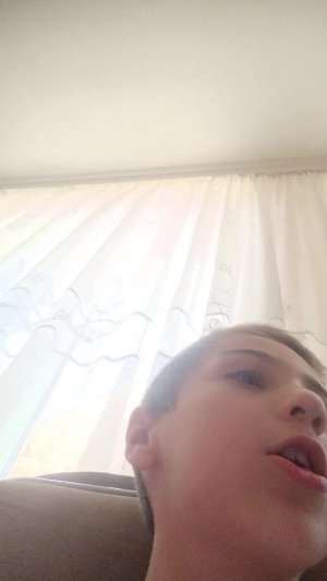 сегодня мы узнаем что делать наши собаки