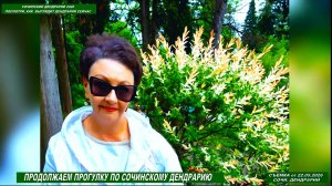 Дендрарий 2026: пруд, фонтан «Сказка», Пальмовая аллея, Китайский дворик и Белочки. Часть вторая