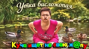 Мошенница на доверии, попользовалась, верни обратно( Фуфел-Рэмбо))) Эпопея с подушкой продолжается.