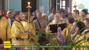 В Санкт-Петербургской митрополии отметили День Собора Санкт-Петербургских святых