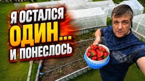 Выходные на даче: Уход за курицами, новенькие кролики и сбор клубники!