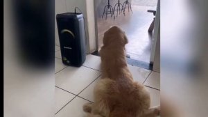 SVID_20260623_153045_1.mp4