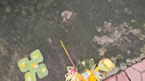 Грустно, отпуск подходит к концу! Идём с мужем в кафе Аномалия на завтрак. Бали. Убуд.