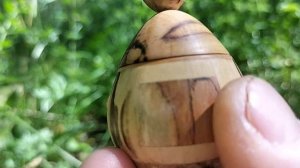 Шкатулка в июньском лесу с земляникой