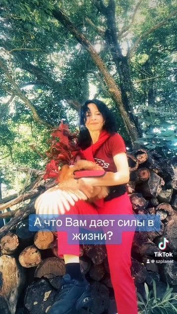 Мои курицы спасают меня! Я бы уже давно кукушкой поехала. А что Вам помогает не сойти с ума?