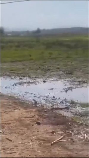 Клип @dsk_media