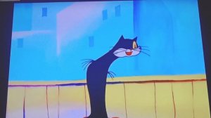 Котёнок по имени Гав