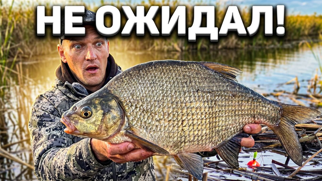 НЕ ОЖИДАЛ ТАКОГО РЕЗУЛЬТАТА! НА ЗАПРЕТНЫЙ ПОПЛАВОК-КИВОК! Ловля карася и леща на удочку смотреть онлайн