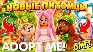 НОВЫЕ ПИТОМЦЫ НА 2 НЕДЕЛЕ ЛЕТНЕГО ЛАГЕРЯ В АДОПТ МИ!😱🌞 НОВАЯ ВЫДРА И ЛЕТНЯЯ СОБАКА!👀 ADOPT ME