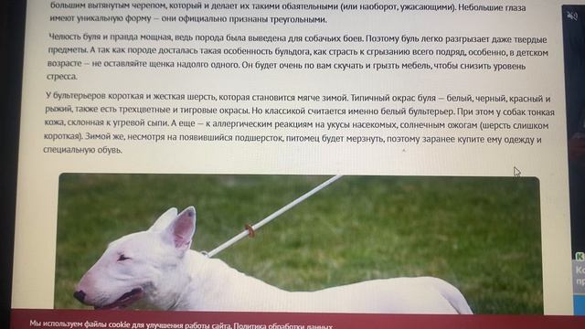 Вдруг внезапно, откуда ни возьмись смотреть онлайн
