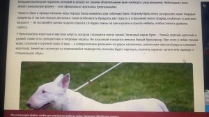 Вдруг внезапно, откуда ни возьмись
