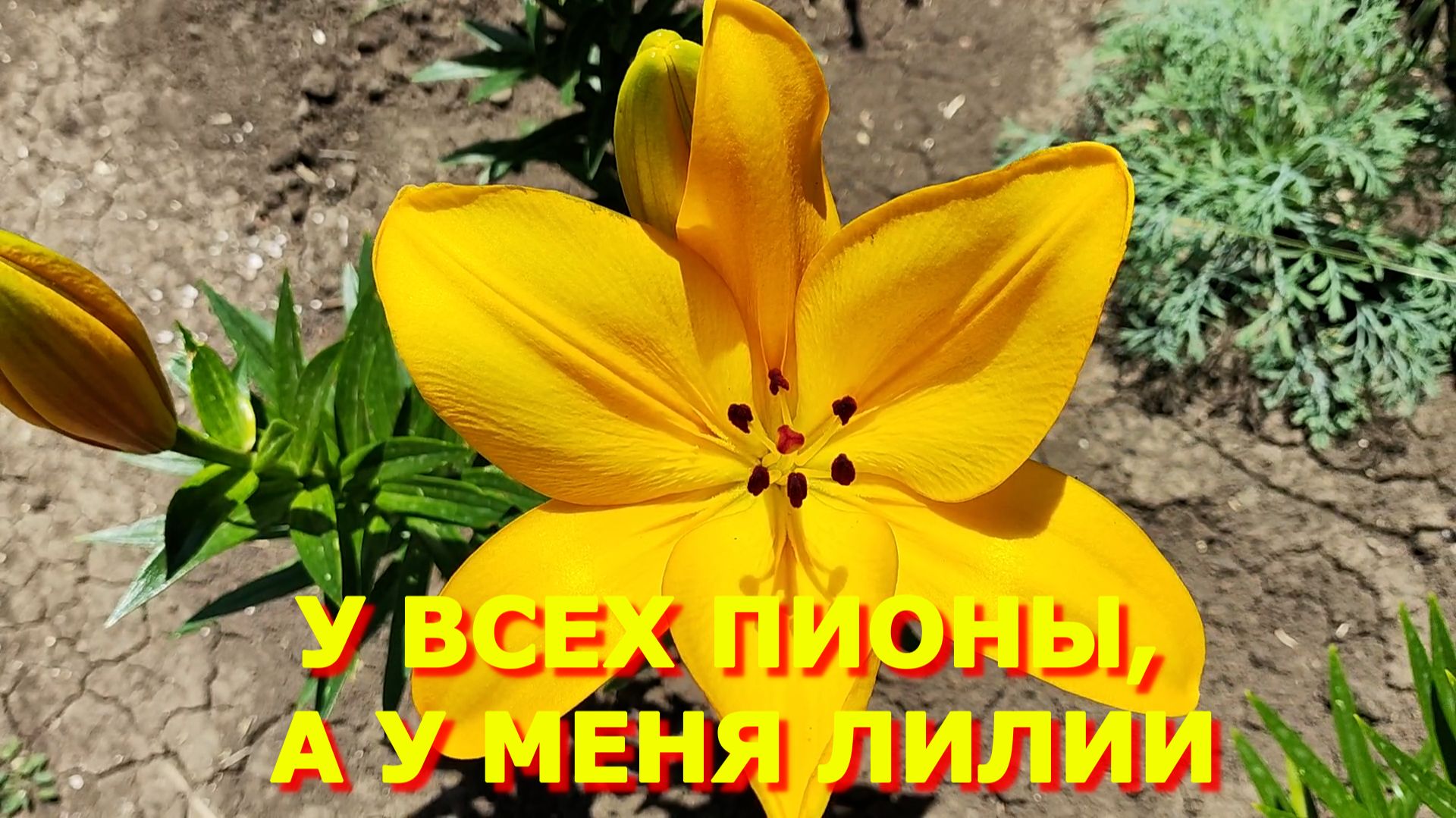 119. Докупили трубы / Продолжение следует, еще не финал. смотреть онлайн
