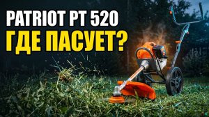 Триммер Patriot PT 520: Где Он Пасует — Честно