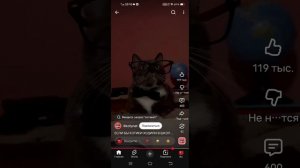 котинет сборник #1