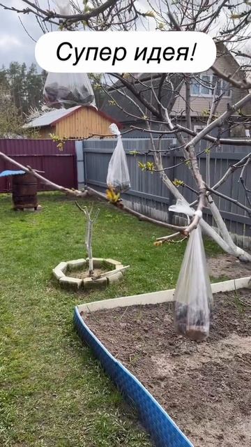 УДачное решение.